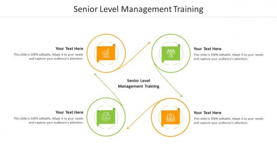 Senior level management training ppt powerpoint presentation outline demonstration cpb