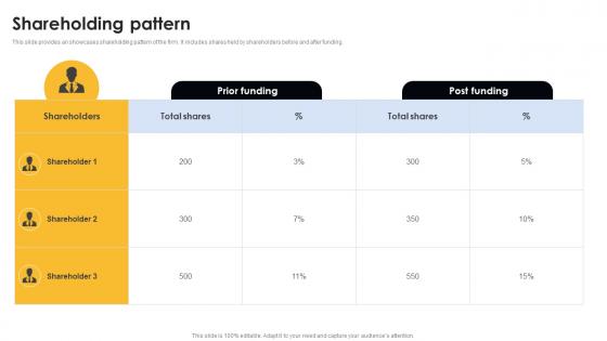 Shareholding Pattern Digital Cab Service Seed Fund Raising Pitch Deck