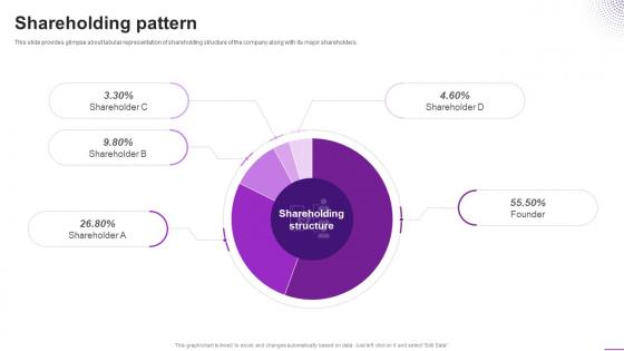 Shareholding Pattern Up All Night Investor Funding Elevator Pitch Deck