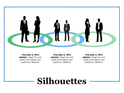 Silhouettes ppt summary portfolio