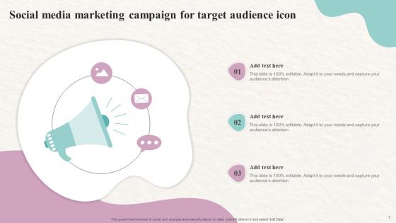 Social Media Marketing Campaign For Target Audience Icon