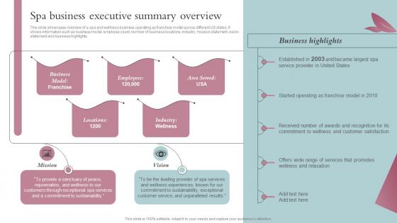 Spa Business Executive Summary Overview Spa Business Performance Improvement Strategy SS V