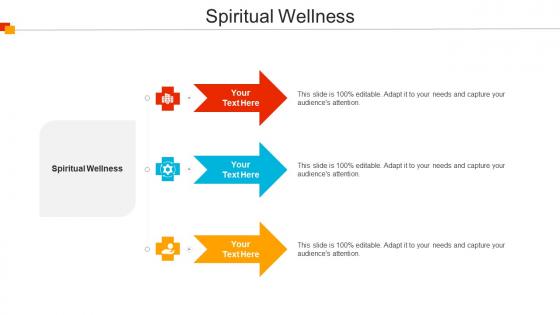 Spiritual Wellness Ppt Powerpoint Presentation Influencers Cpb