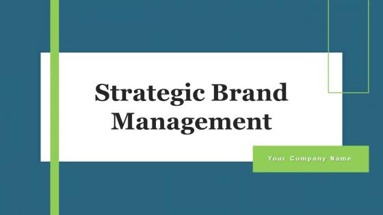 Strategic Brand Management Powerpoint Ppt Template Bundles