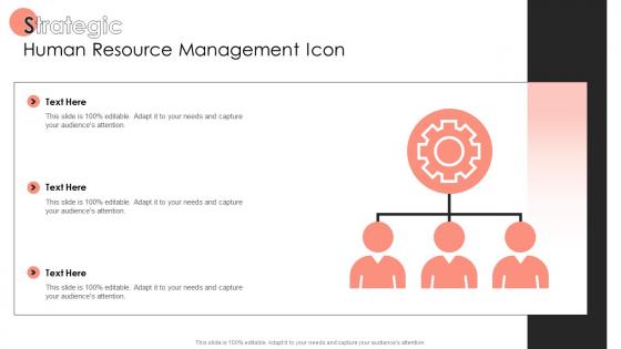 Strategic Human Resource Management Icon