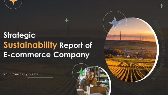 Strategic Sustainability Report Of E Commerce Company Sustainability CD