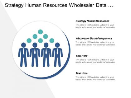 Strategy human resources wholesaler data management strategy modeling cpb