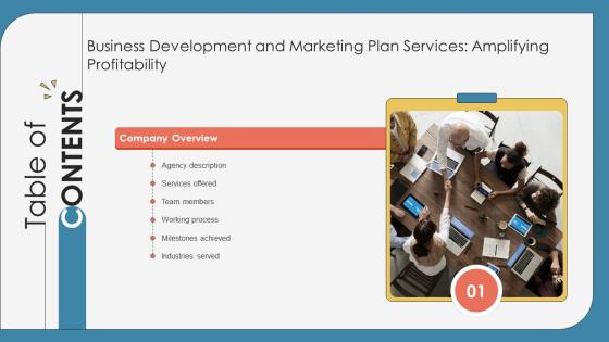 Table Of Contents Business Development Marketing Plan Services Amplifying Profitability CRP DK SS