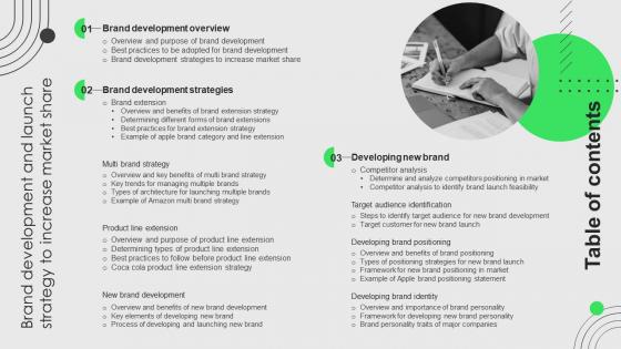 Table Of Contents For Brand Development And Launch Strategy To Increase Market Share