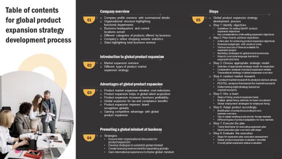 Table Of Contents For Global Product Expansion Strategy Development Process