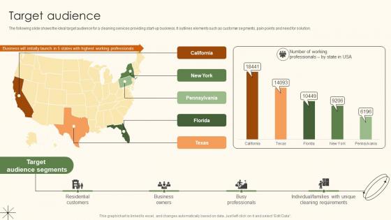 Target Audience Professional Cleaning Service Provider Market Entry Plan GTM SS V