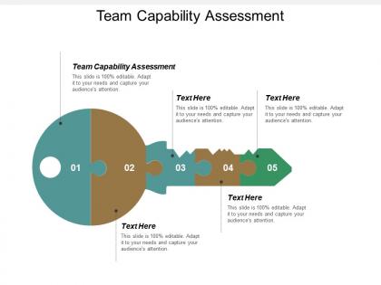 Team capability assessment ppt powerpoint presentation icon professional cpb