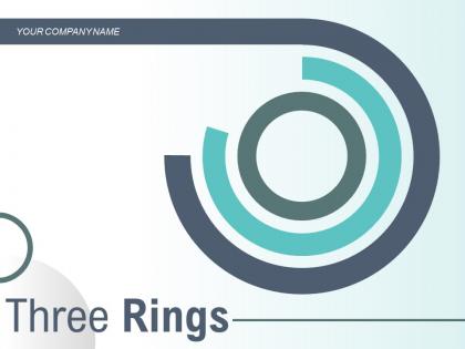 Three Rings Process Organization Controlling Portfolio Management Innovation