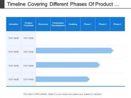 Timeline covering different phases of product