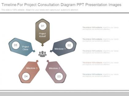 Timeline for project consultation diagram ppt presentation images