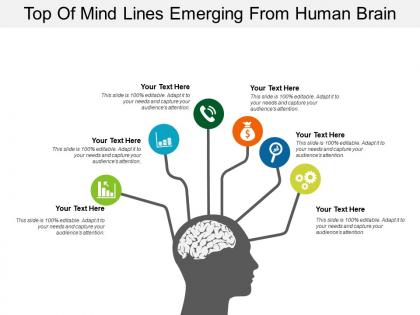 Top of mind lines emerging from human brain