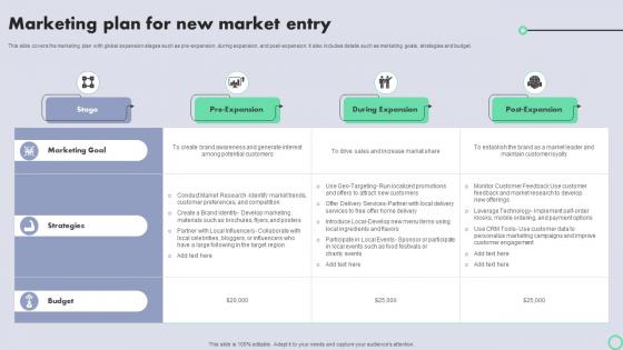 Transnational Strategy For International Marketing Plan For New Market Entry Strategy SS V