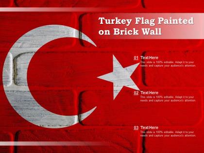 Turkey flag painted on brick wall