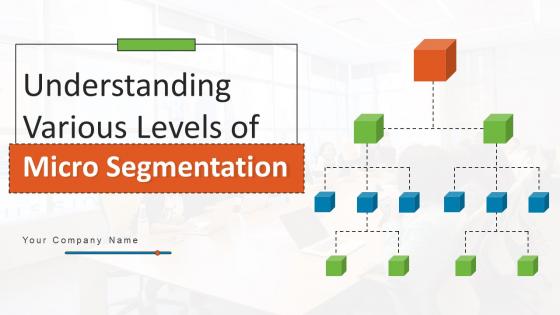 Understanding Various Levels Of Micro Segmentation MKT CD V