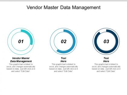 Vendor master data management ppt powerpoint presentation background image cpb