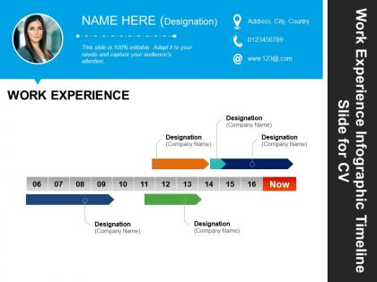 Work experience infographic timeline slide for cv good ppt example