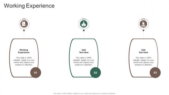 Working Experience In Powerpoint And Google Slides Cpb