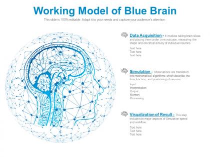 Working model of blue brain